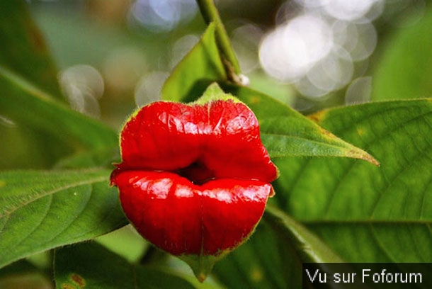 Une petite brise printanière