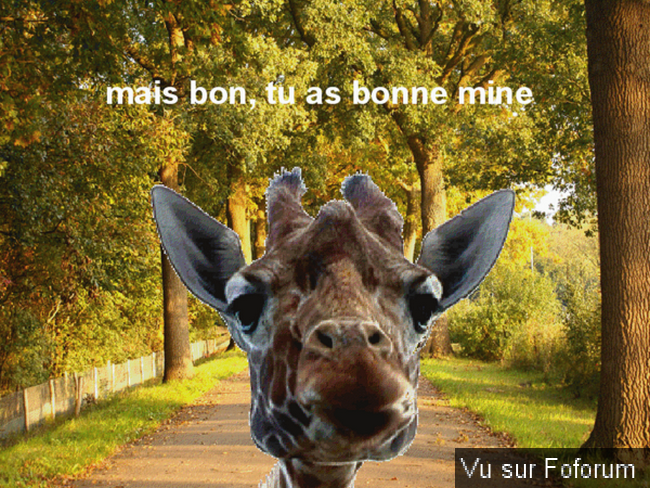 🎁 Bonus Fofocoins : La réponse surprise