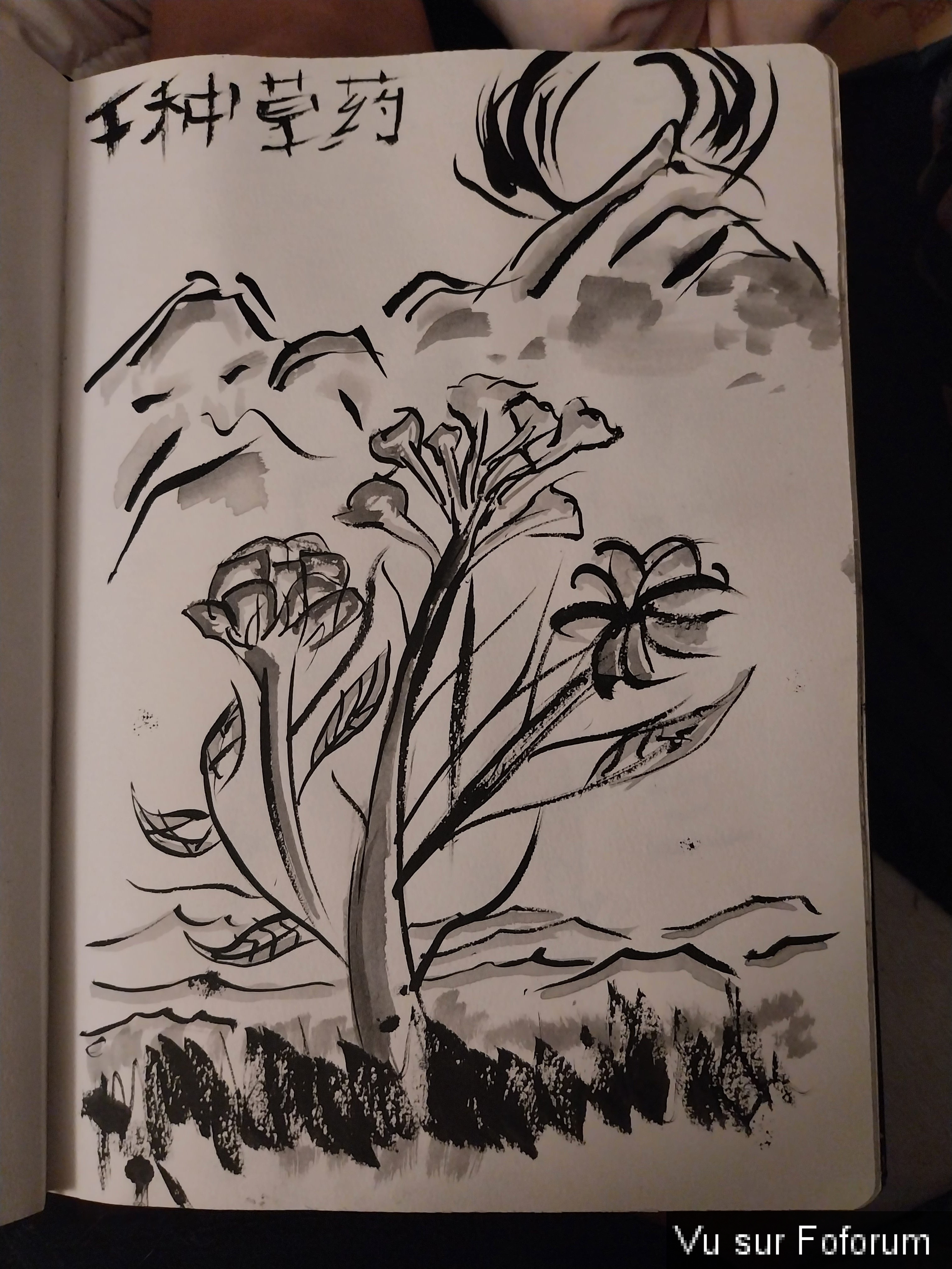 Mon Dessin à l'encre de Chine