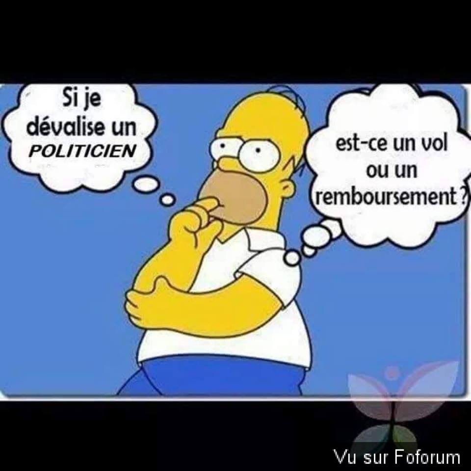 🎁 Bonus Fofocoins : La réponse surprise