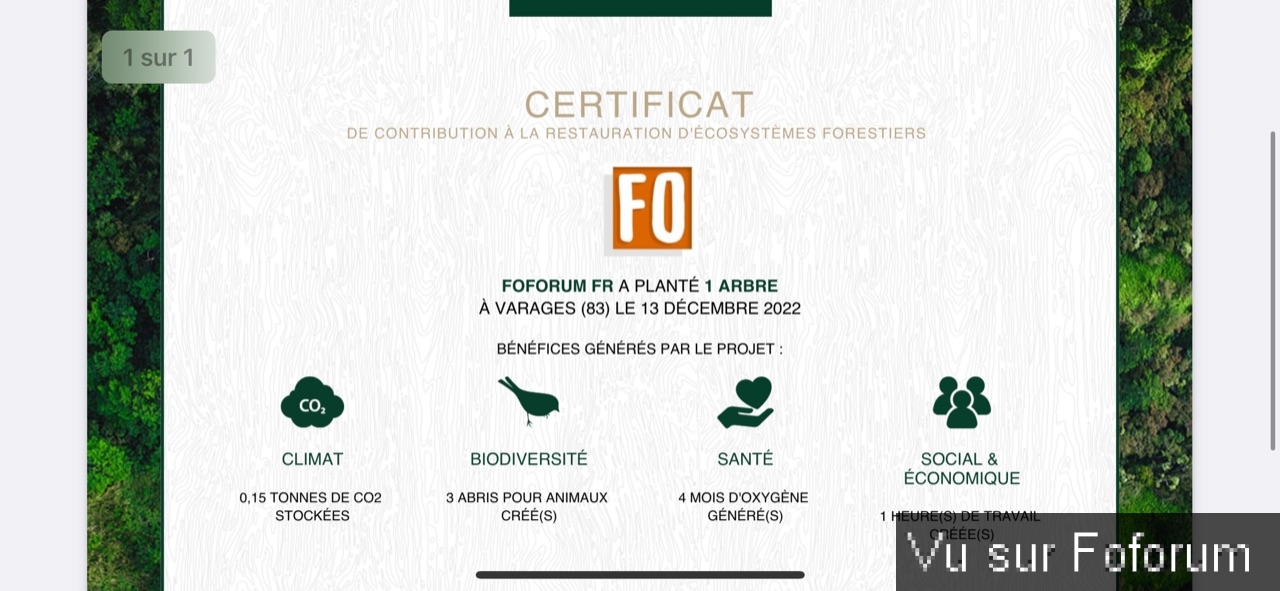 Nouvel achat : Plantation d'un arbre via Reforestaction 🌳