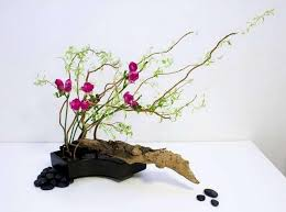Ikabana. Art floral japonais