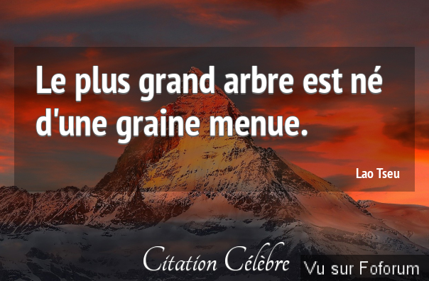 La citation du jour