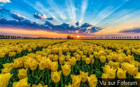 Une petite brise printanière