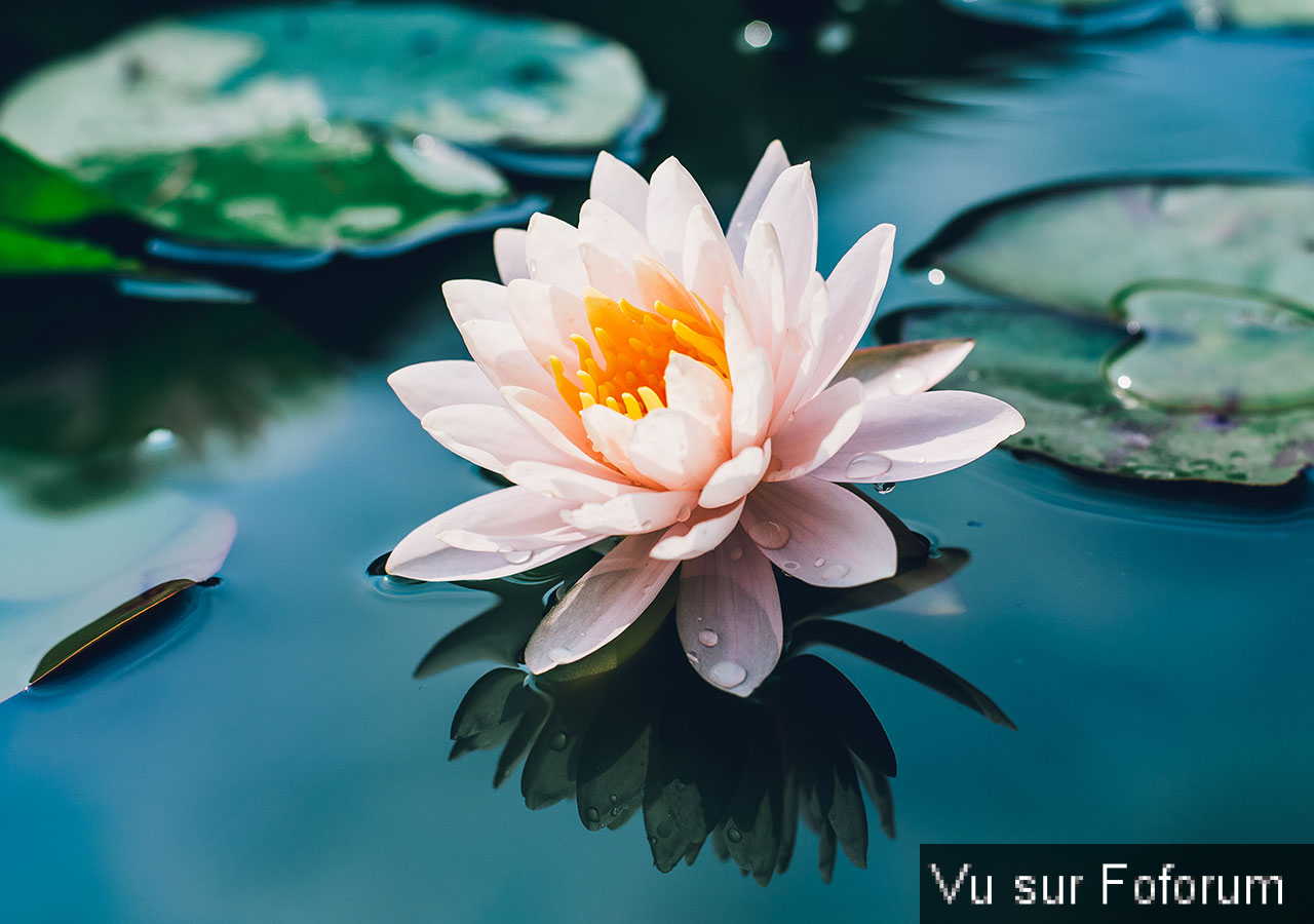 Une petite brise printanière