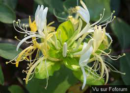 Une petite brise printanière