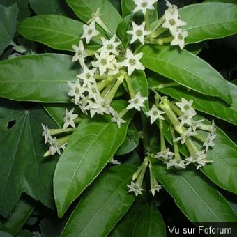 Une petite brise printanière