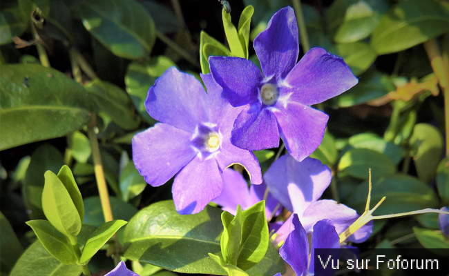 Une petite brise printanière