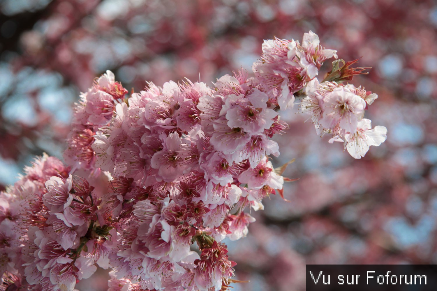 Une petite brise printanière