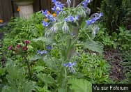 Une petite brise printanière