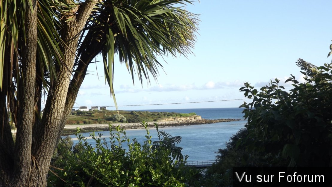 Capitaine Jack vous propose de visiter le Port de Audierne