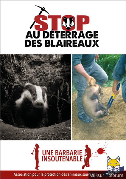 Aspas pour sauver les animaux sauvages de France 💪