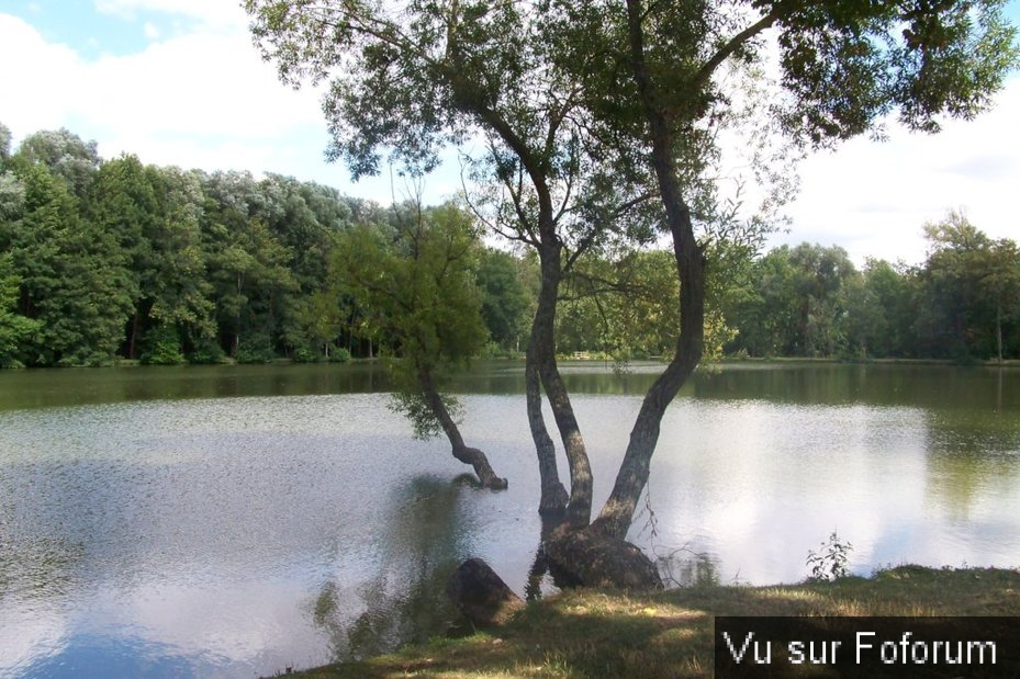 🏞🏝 𝘾𝙖𝙥𝙞𝙩𝙖𝙞𝙣𝙚 𝙅𝙖𝙘𝙠 𝙫𝒐𝙪𝒔 𝒑𝙧𝒆́𝙨𝒆𝙣𝒕𝙚 𝙈𝒊𝙜𝒆𝙣𝒏𝙚𝒔 🏞🏝