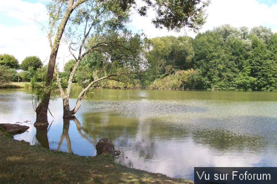 🏞🏝 𝘾𝙖𝙥𝙞𝙩𝙖𝙞𝙣𝙚 𝙅𝙖𝙘𝙠 𝙫𝒐𝙪𝒔 𝒑𝙧𝒆́𝙨𝒆𝙣𝒕𝙚 𝙈𝒊𝙜𝒆𝙣𝒏𝙚𝒔 🏞🏝