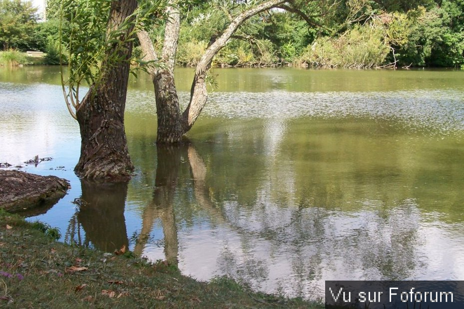 🏞🏝 𝘾𝙖𝙥𝙞𝙩𝙖𝙞𝙣𝙚 𝙅𝙖𝙘𝙠 𝙫𝒐𝙪𝒔 𝒑𝙧𝒆́𝙨𝒆𝙣𝒕𝙚 𝙈𝒊𝙜𝒆𝙣𝒏𝙚𝒔 🏞🏝