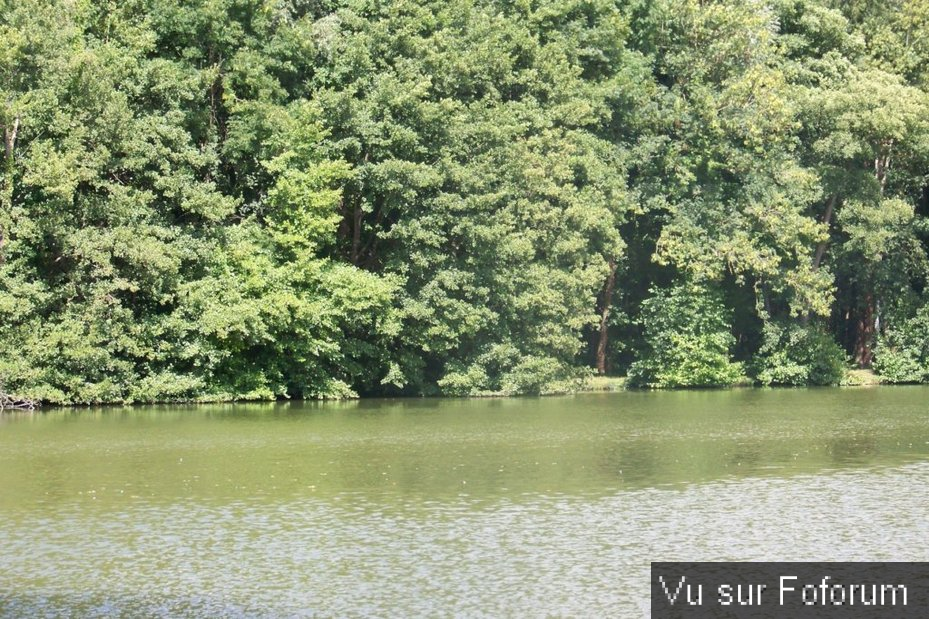 🏞🏝 𝘾𝙖𝙥𝙞𝙩𝙖𝙞𝙣𝙚 𝙅𝙖𝙘𝙠 𝙫𝒐𝙪𝒔 𝒑𝙧𝒆́𝙨𝒆𝙣𝒕𝙚 𝙈𝒊𝙜𝒆𝙣𝒏𝙚𝒔 🏞🏝