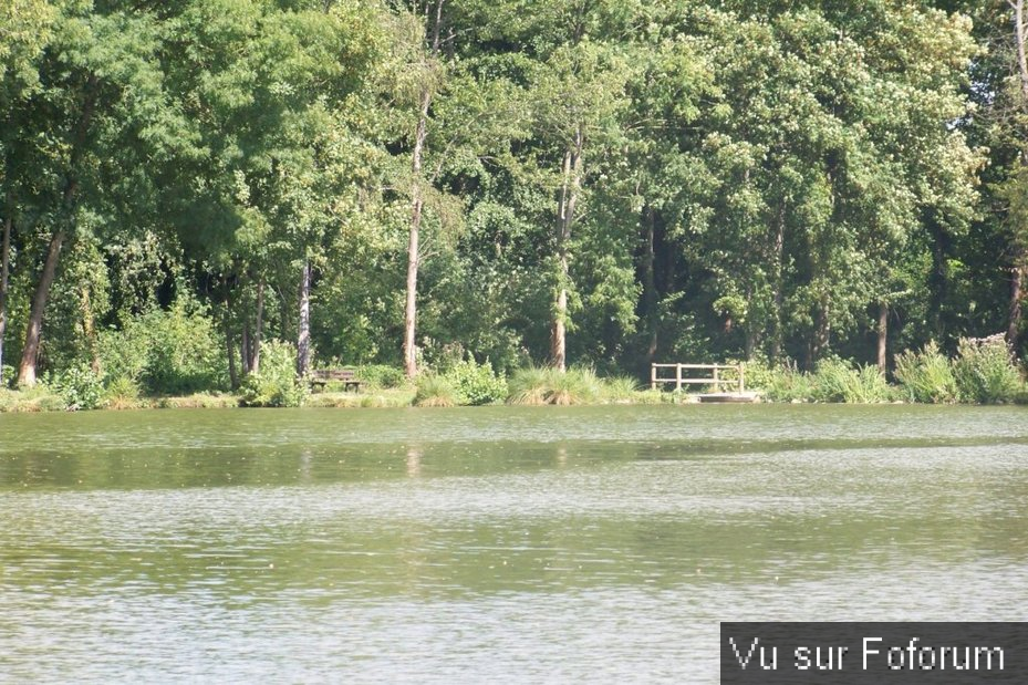 🏞🏝 𝘾𝙖𝙥𝙞𝙩𝙖𝙞𝙣𝙚 𝙅𝙖𝙘𝙠 𝙫𝒐𝙪𝒔 𝒑𝙧𝒆́𝙨𝒆𝙣𝒕𝙚 𝙈𝒊𝙜𝒆𝙣𝒏𝙚𝒔 🏞🏝
