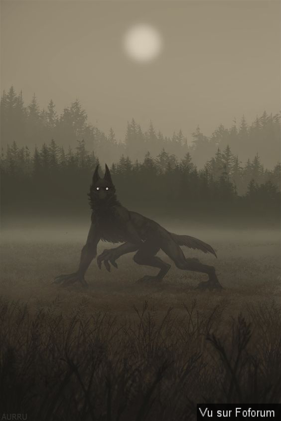 Le jeu du Loup Garou 🐺