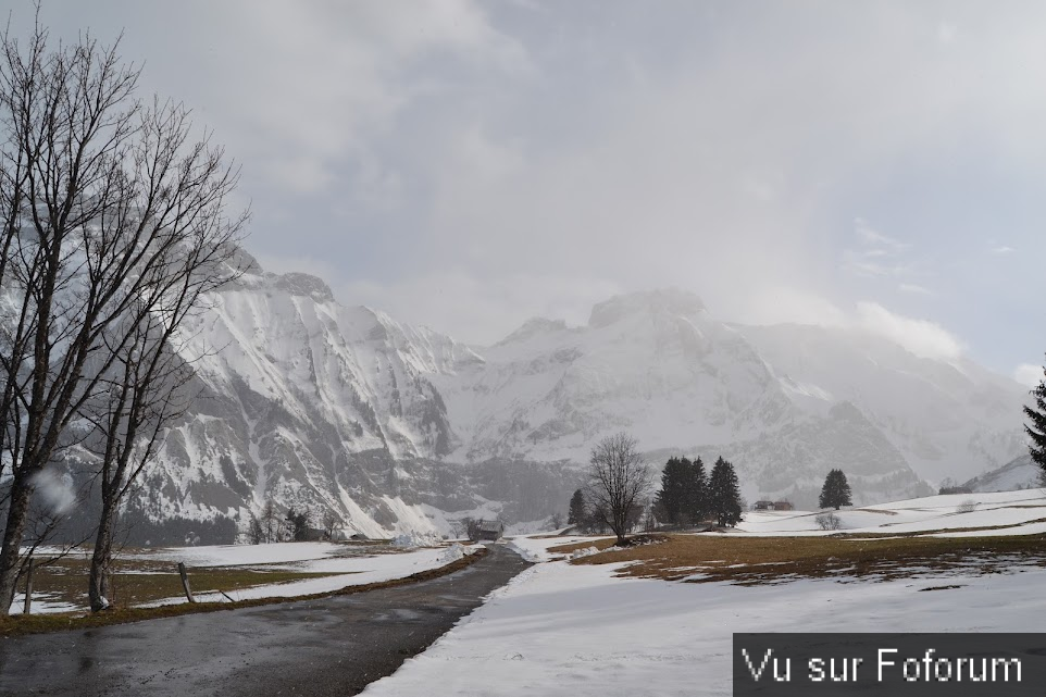 vous êtes plutôt ski de fond ou de piste