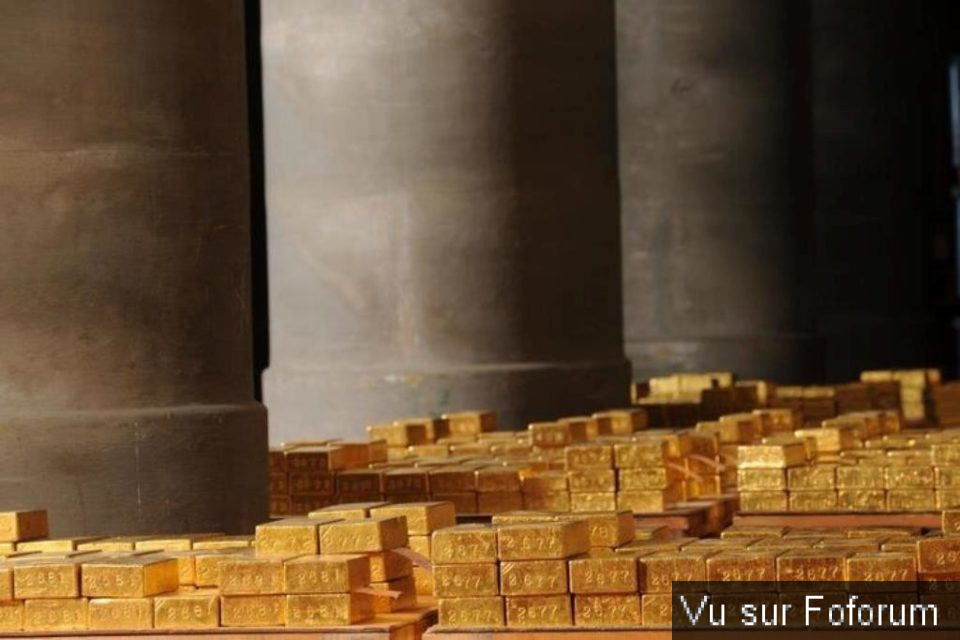 Si ! Vous pouviez échanger votre esprit..