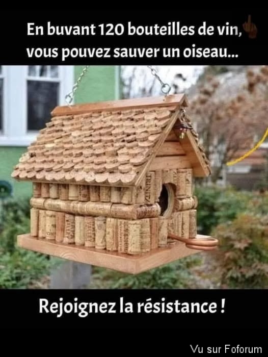 🎁 Bonus Fofocoins : La réponse surprise