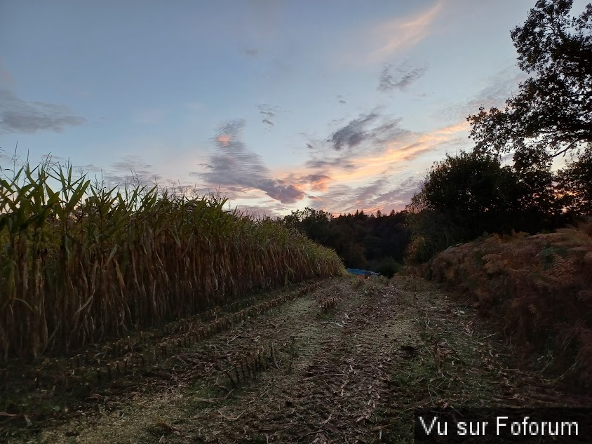 L'agriculture plus que un métier un bonheur 🚜🐄