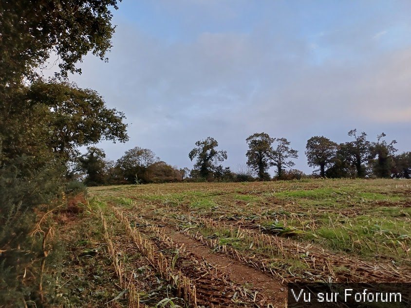 L'agriculture plus que un métier un bonheur 🚜🐄