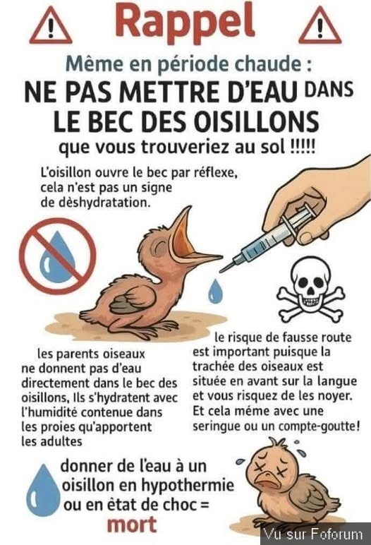 🎁 Bonus Fofocoins : La réponse surprise