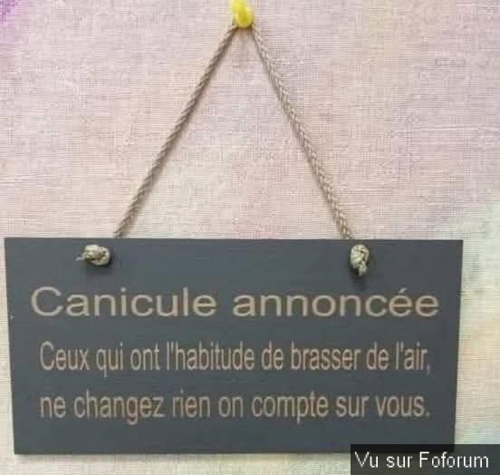 🎁 Bonus Fofocoins : La réponse surprise