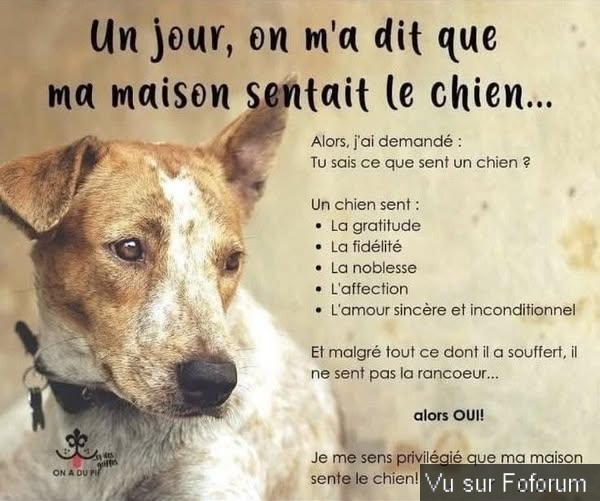 🎁 Bonus Fofocoins : La réponse surprise