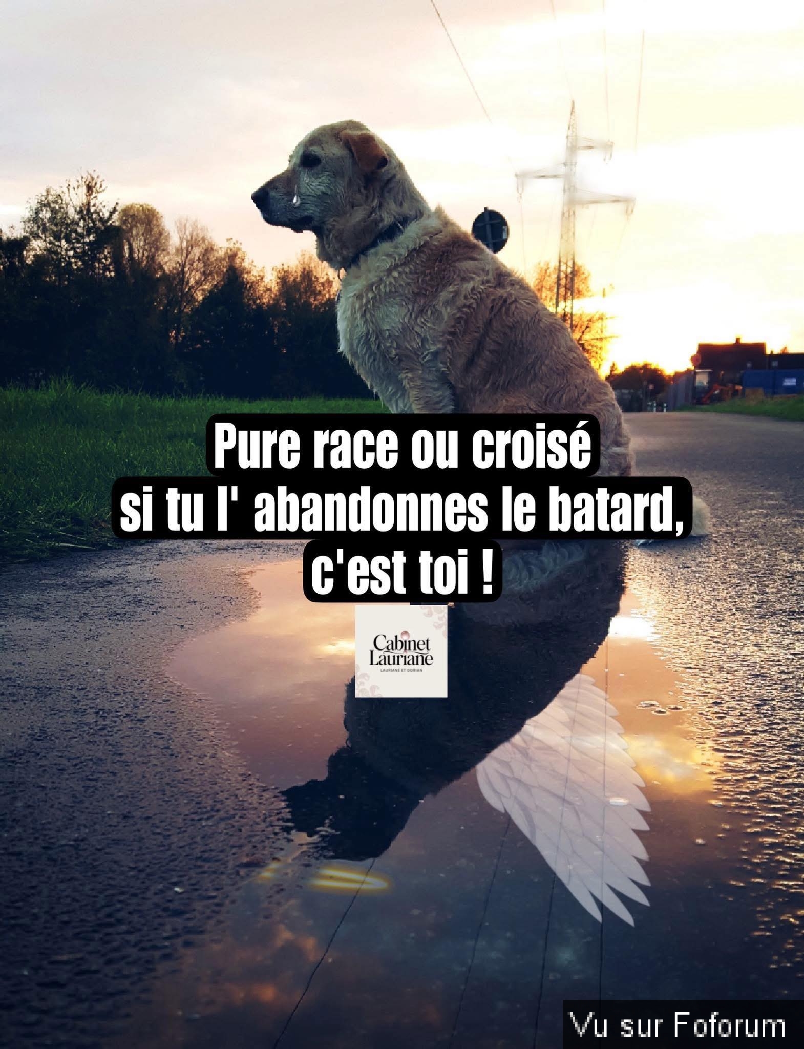 🎁 Bonus Fofocoins : La réponse surprise