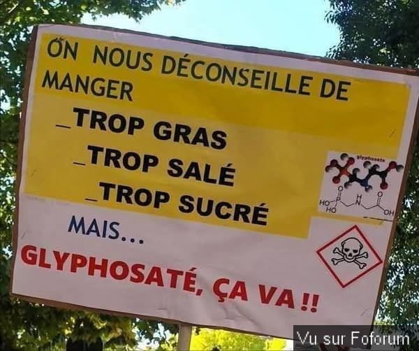 🎁 Bonus Fofocoins : La réponse surprise