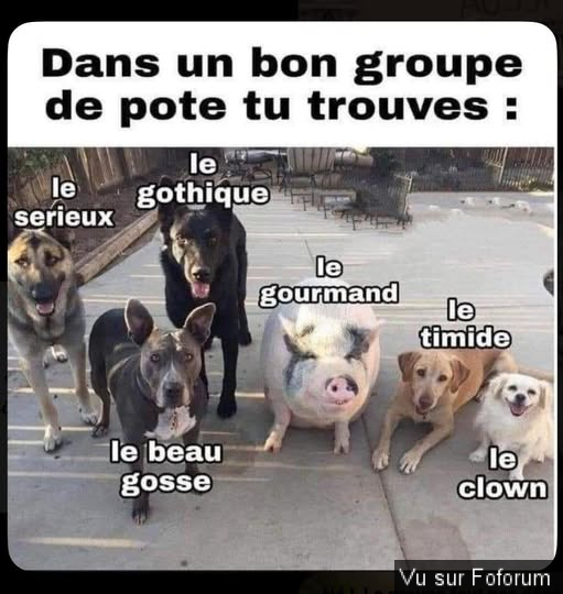 Poster n importe quoi qui vous fait plaisir ou vous fait rire, vous a étonné! Vidéo seulement ou short : jeu !