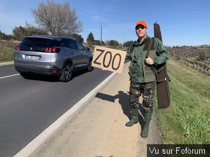 Poster n importe quoi qui vous fait plaisir ou vous fait rire, vous a étonné! Vidéo seulement ou short : jeu !