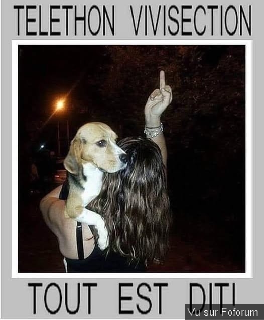 🎁 Bonus Fofocoins : La réponse surprise