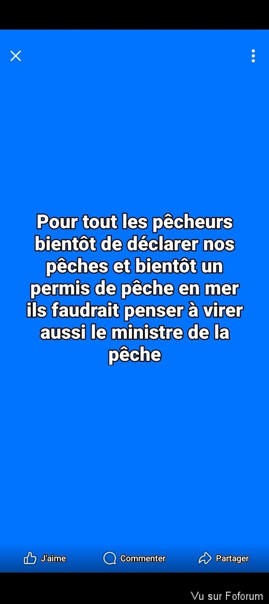 🎁 Bonus Fofocoins : La réponse surprise