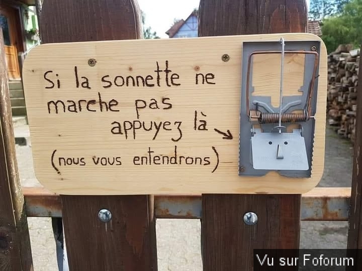 🎁 Bonus Fofocoins : La réponse surprise
