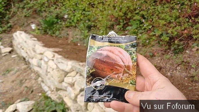 𝗖𝗮𝗽𝗶𝘁𝗮𝗶𝗻𝗲-𝗝𝗮𝗰𝗸.𝗰𝗼𝗺 𝗟𝗲𝘀 𝗡𝗲𝘄𝘀