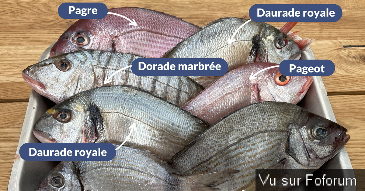 𝗖𝗮𝗽𝗶𝘁𝗮𝗶𝗻𝗲-𝗝𝗮𝗰𝗸.𝗰𝗼𝗺 𝗟𝗲𝘀 𝗡𝗲𝘄𝘀