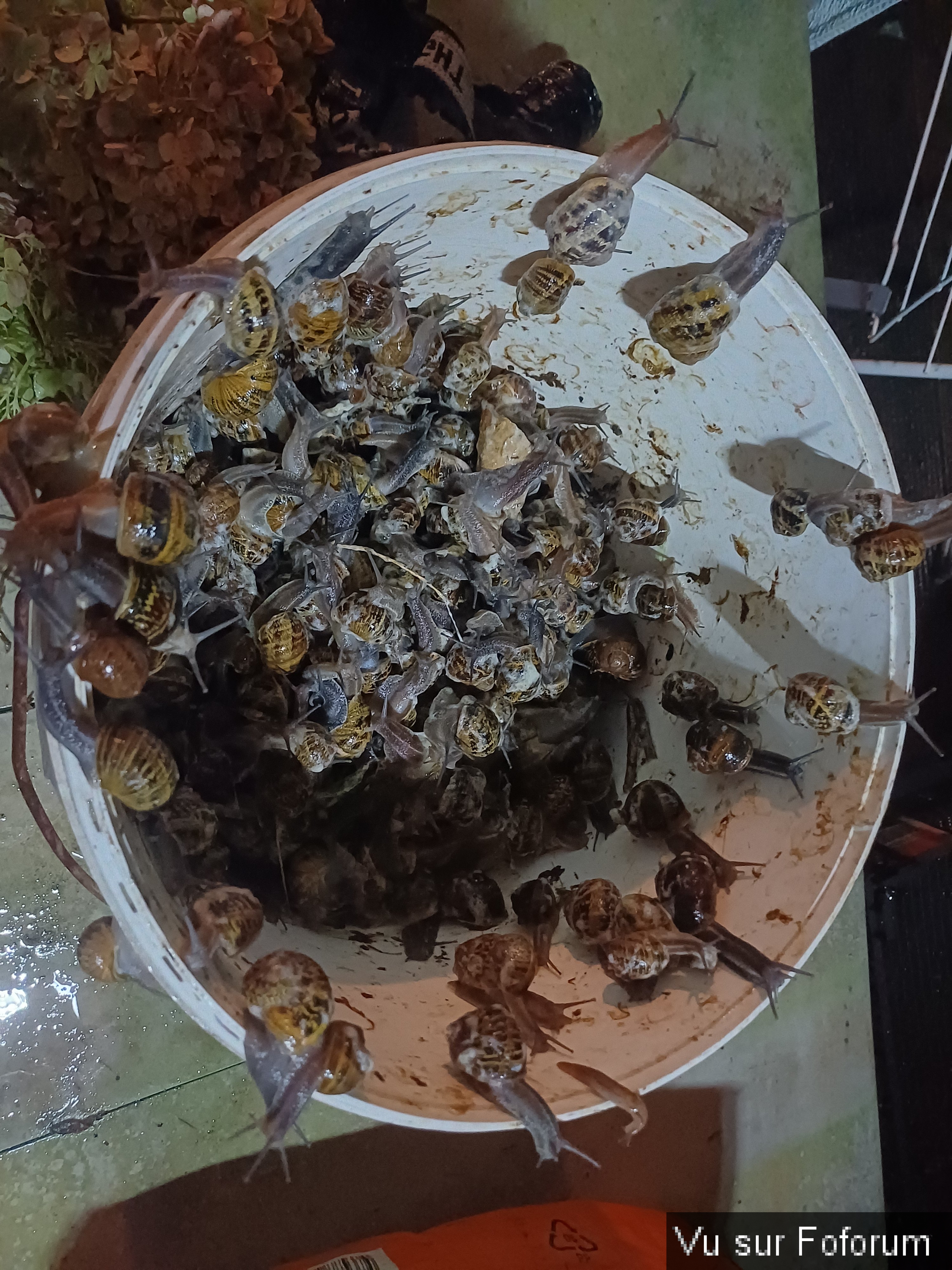 Je veux des/vos plus belles photos