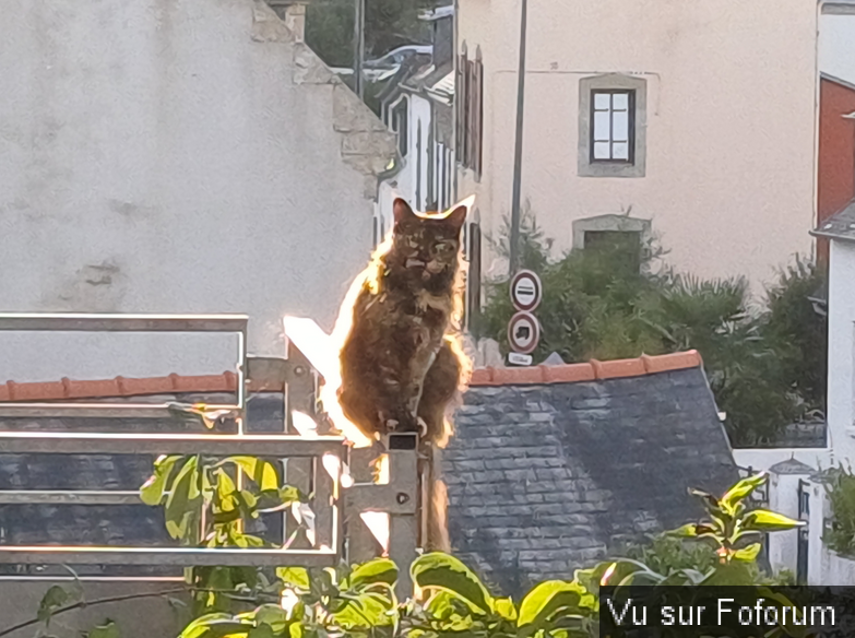 𝗖𝗮𝗽𝗶𝘁𝗮𝗶𝗻𝗲-𝗝𝗮𝗰𝗸.𝗰𝗼𝗺 𝗟𝗲𝘀 𝗡𝗲𝘄𝘀