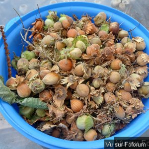 𝗖𝗮𝗽𝗶𝘁𝗮𝗶𝗻𝗲-𝗝𝗮𝗰𝗸.𝗰𝗼𝗺 𝗟𝗲𝘀 𝗡𝗲𝘄𝘀