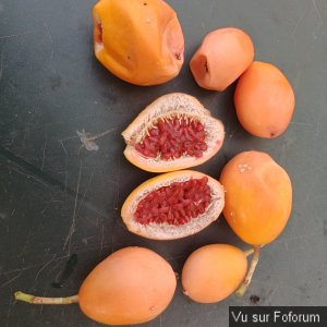 𝗖𝗮𝗽𝗶𝘁𝗮𝗶𝗻𝗲-𝗝𝗮𝗰𝗸.𝗰𝗼𝗺 𝗟𝗲𝘀 𝗡𝗲𝘄𝘀