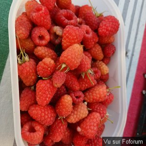 𝗖𝗮𝗽𝗶𝘁𝗮𝗶𝗻𝗲-𝗝𝗮𝗰𝗸.𝗰𝗼𝗺 𝗟𝗲𝘀 𝗡𝗲𝘄𝘀