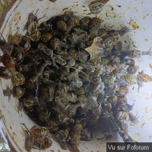 𝗖𝗮𝗽𝗶𝘁𝗮𝗶𝗻𝗲-𝗝𝗮𝗰𝗸.𝗰𝗼𝗺 𝗟𝗲𝘀 𝗡𝗲𝘄𝘀