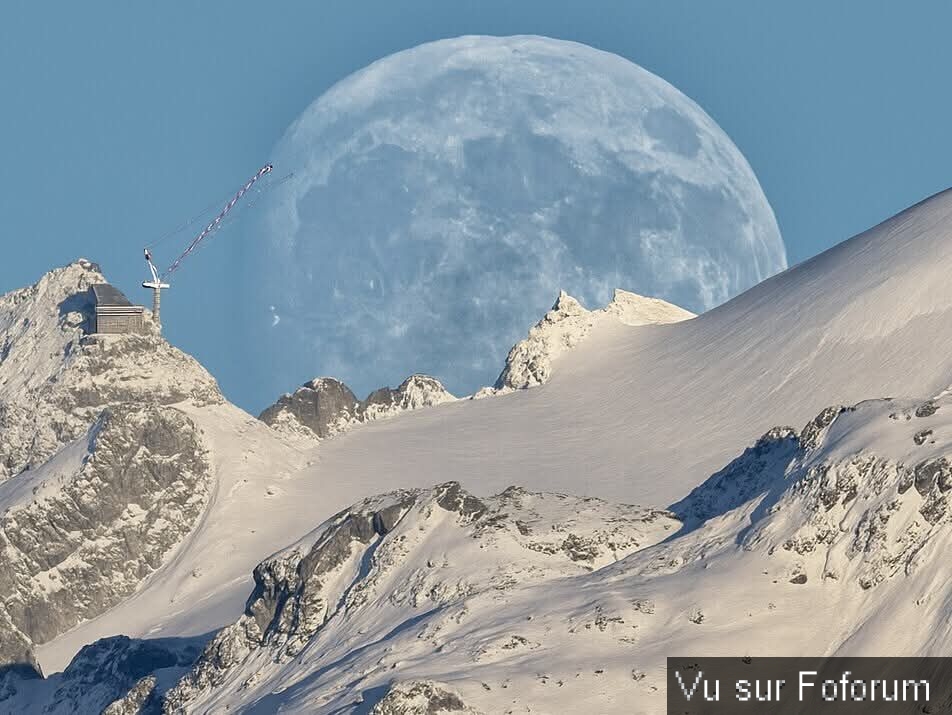 🎁 Bonus Fofocoins : La réponse surprise