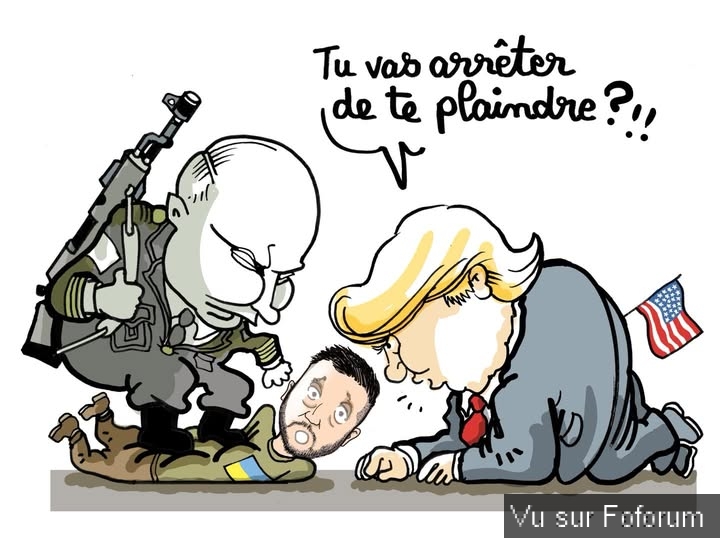 🎁 Bonus Fofocoins : La réponse surprise