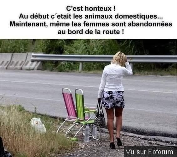 🎁 Bonus Fofocoins : La réponse surprise