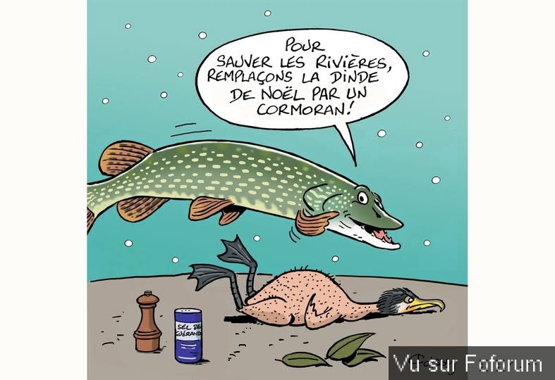 🎁 Bonus Fofocoins : La réponse surprise