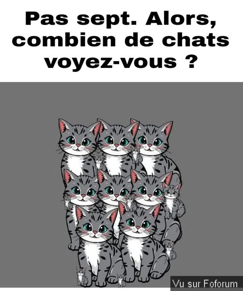 🎁 Bonus Fofocoins : La réponse surprise